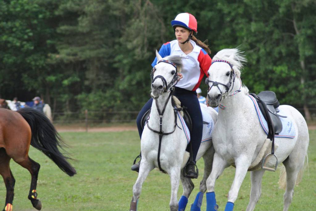 Reiten und Führen