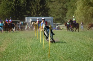 Slalom 