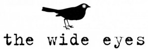 The Wide Eyes Text & Bird